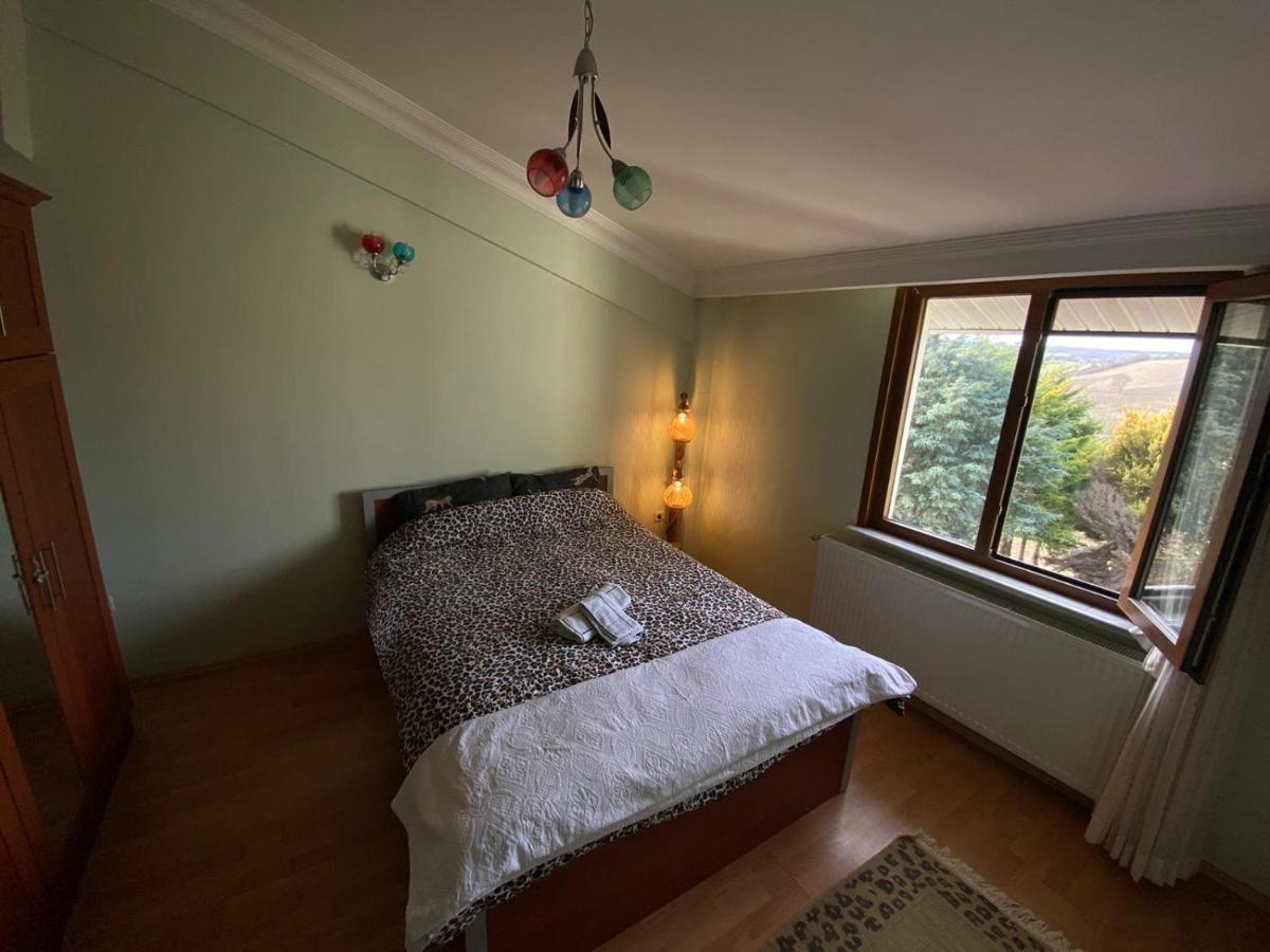 Havalimanina Yakin Orman Icinde Ferah Villa1 Arnavutkoy エクステリア 写真