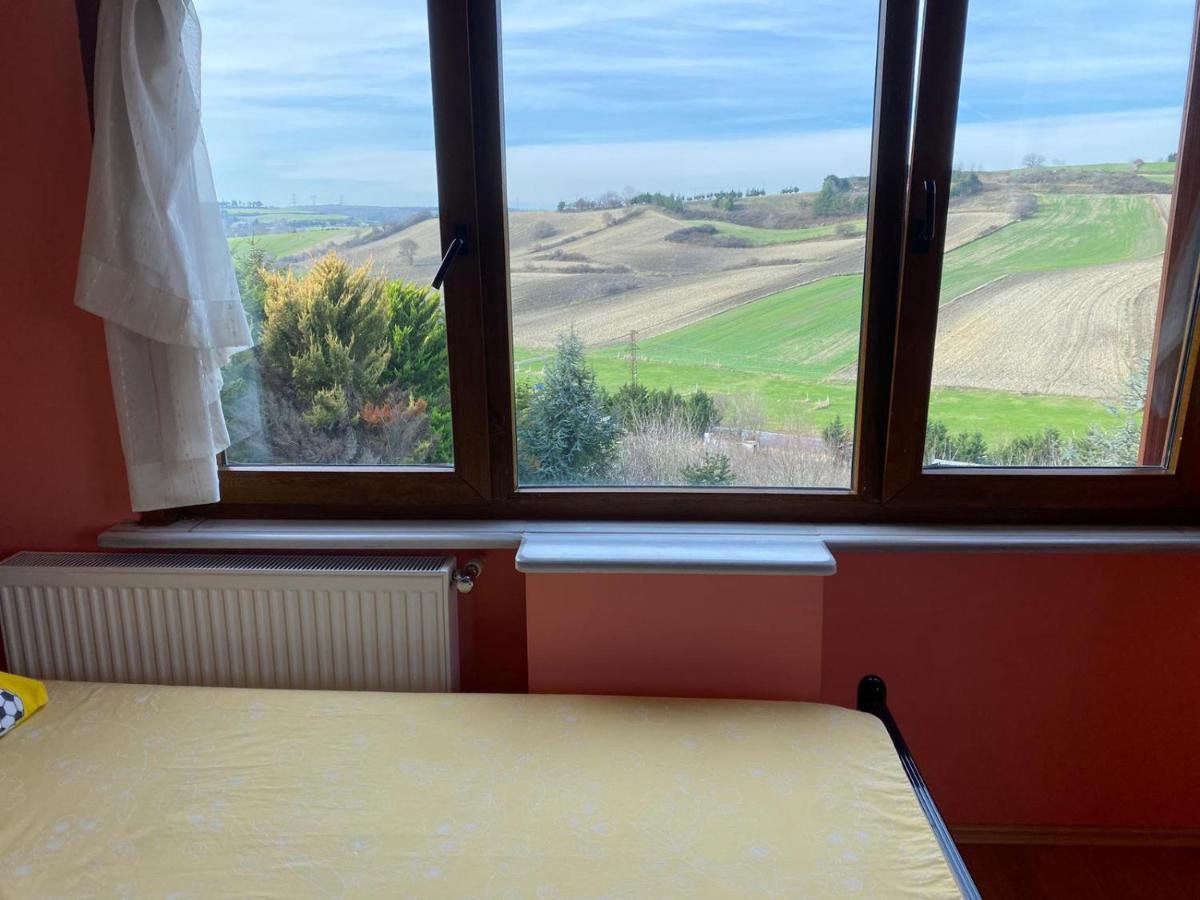 Havalimanina Yakin Orman Icinde Ferah Villa1 Arnavutkoy エクステリア 写真