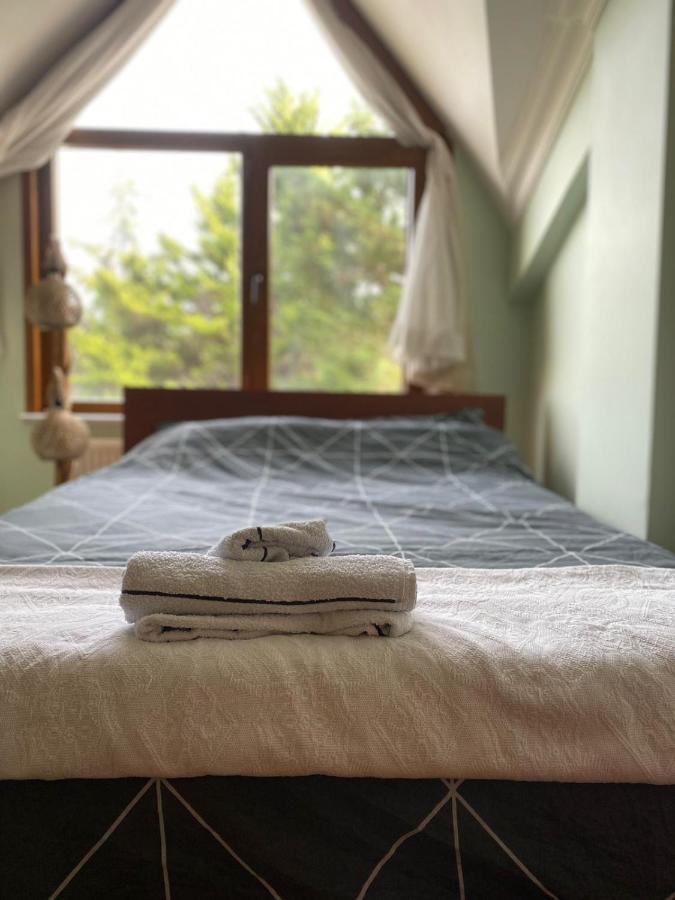 Havalimanina Yakin Orman Icinde Ferah Villa1 Arnavutkoy エクステリア 写真
