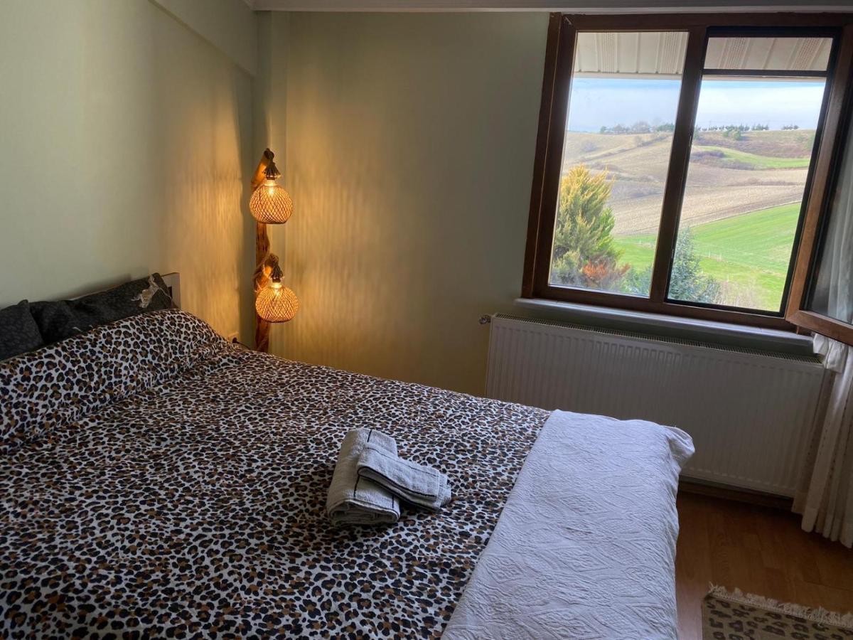 Havalimanina Yakin Orman Icinde Ferah Villa1 Arnavutkoy エクステリア 写真